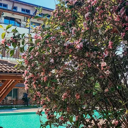 Mm Complex Dimitrovi Primorsko