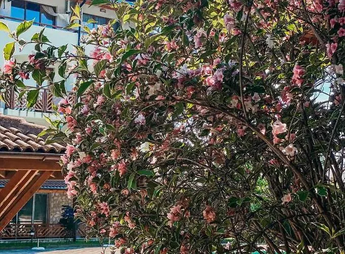 Mm Complex Dimitrovi 프리모르스코